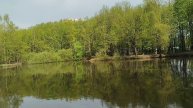 Философия. Что такое философия? Почему я решил обратиться к этой теме?