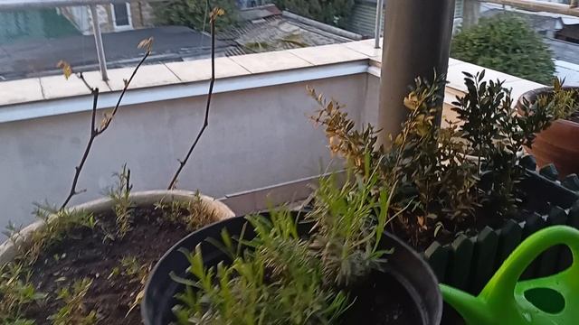 Весенний ливень на закате дня 
в Алуште