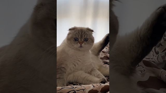 Будни Лёли ☺️