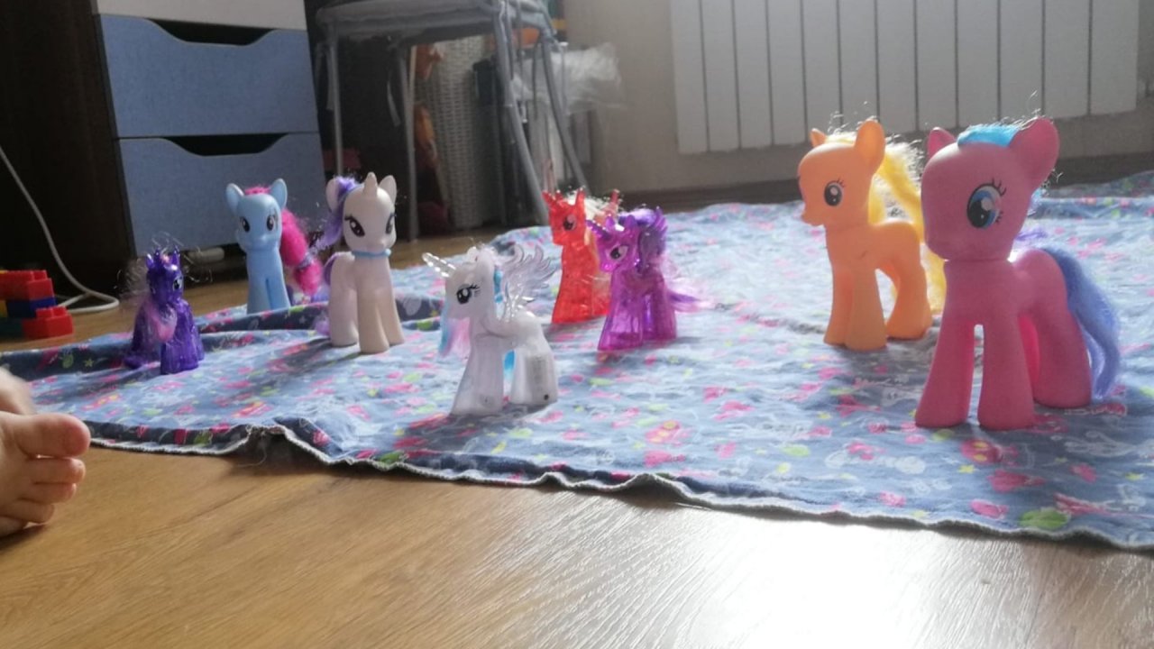 Поняшки приехали на море