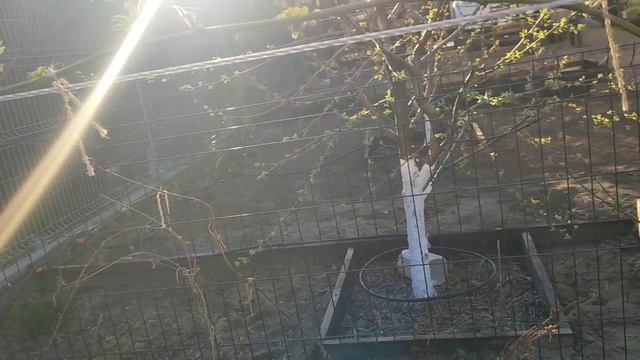 #9 /25 Дела дворовые