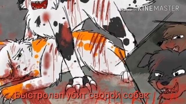 Коты Воители Смерти