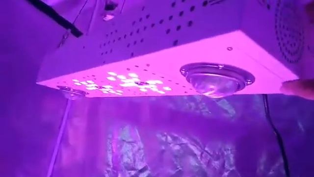 Ecospeed Olux 510w CXB3590 LED Grow Light~3 switches/ full spectrum www.ecospeedled.com