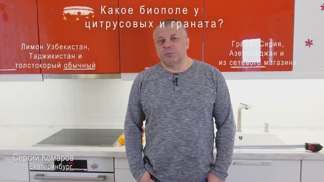 Биополе фруктов: цитрусовые и гранат