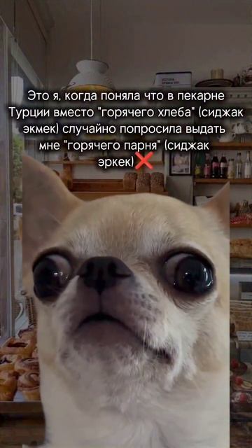 Заказывали горячего парня?