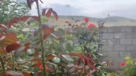 Кишлокаки ман буи чапоти дорад. Қишлоқи нав цемзавод Варзоб. Life in the village of Tajikistan.