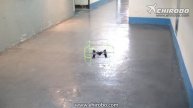 eHIROBO.com Flight - Sky Walker Quadcopter Aerocraft 6 Axis Gyro 4CH UFO Rolling Shield 2.4GHz