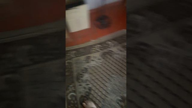 табак 097