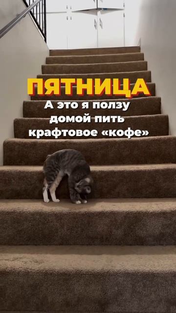 па-рам-пам-пам