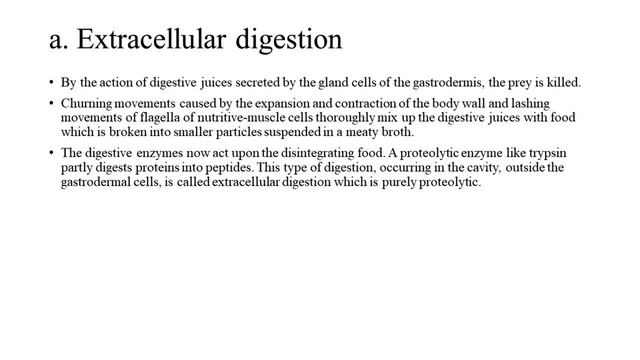 Hydra- Locomotion, nutrition, respiration, excretion, nervous system, behaviours