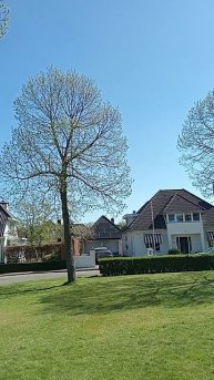 Тропарь греческий святому мученику Фоке