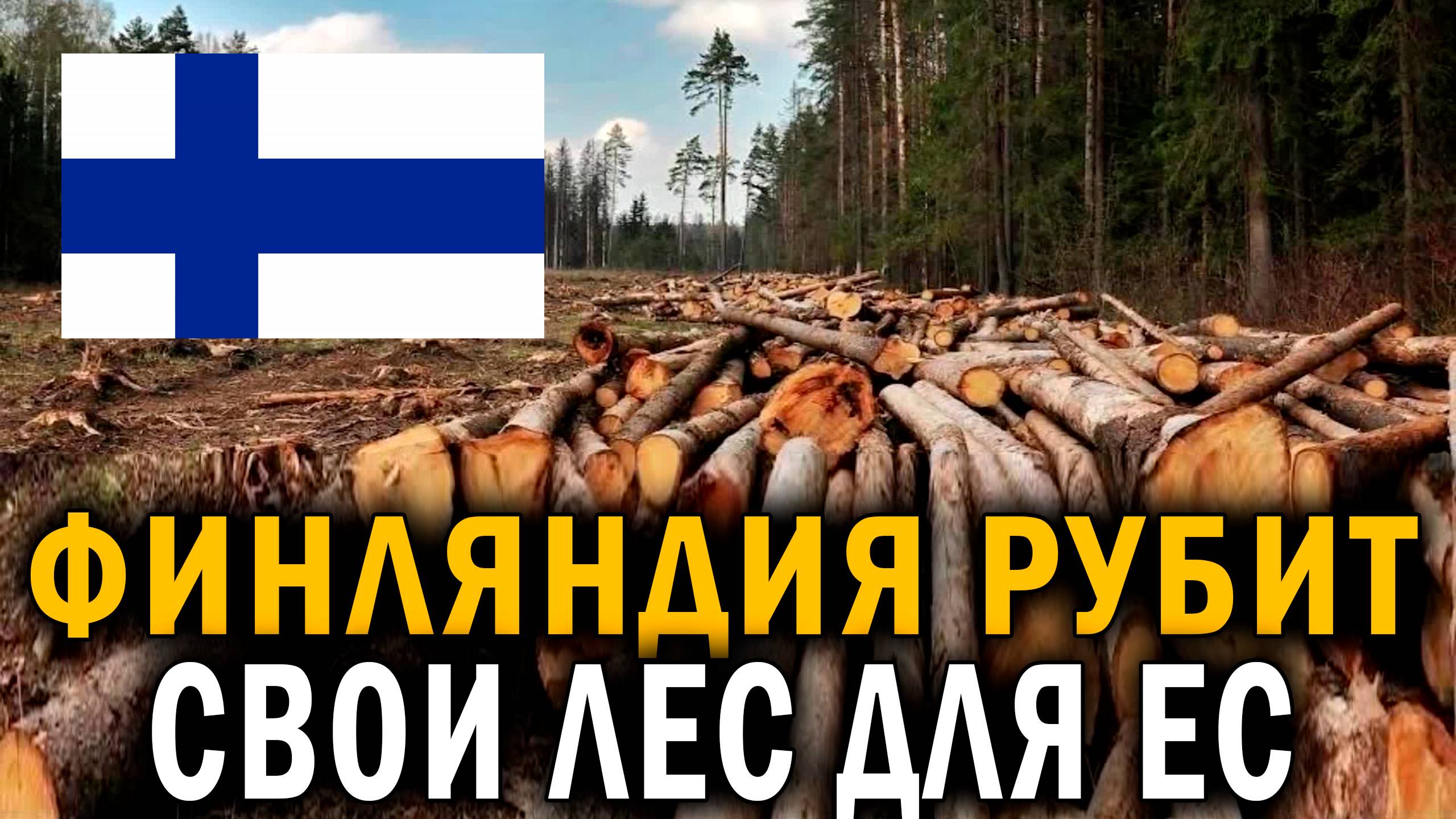 МОСКВА СООБЩАЕТ! Финляндия рубит свой лес для ЕС, Россия больше не даёт - НОВОСТИ СЕГОДНЯ