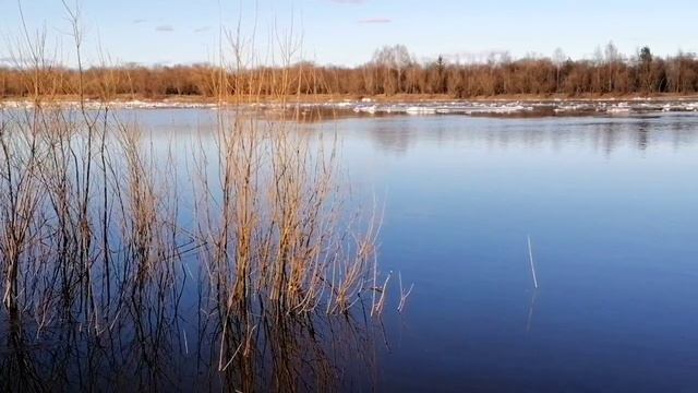 Сыктывкар 24 апреля 2025г