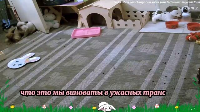 «Не волнуйся, ты можешь перекусить тут абсолютно бесплатно. Это мой ресторан.»-ответила женщина...