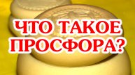 Что такое просфора?