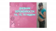 ДНЕВНИК БЕРЕМЕННОСТИ 14 - 16 неделя