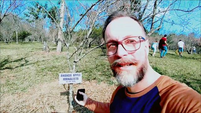 Sakura -bosque das cerejeiras no Parque do Carmo SP