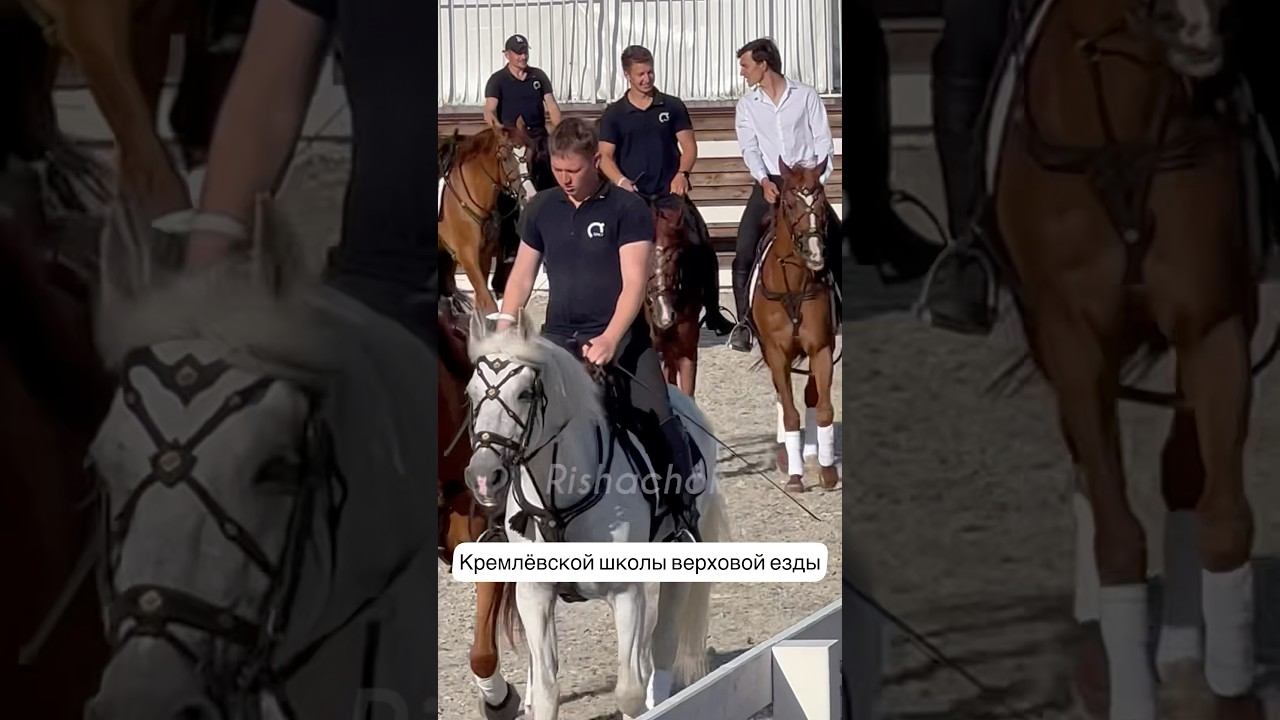 Разминка перед выступлением команды Кремлевской школы верховой езды. Иваново поле 23