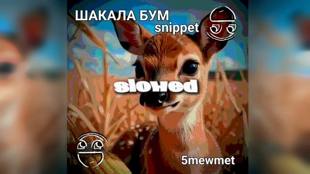 ШАКАЛА ШАКАЛА ШАКАЛА БУМ [snippet] [slowed] - 5mewmet