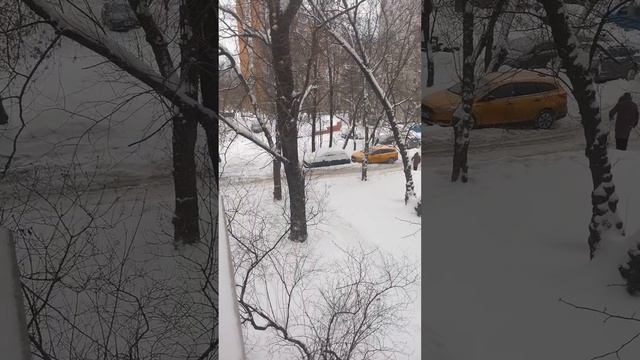 Отзыв на сопровождение человека в течение месяца