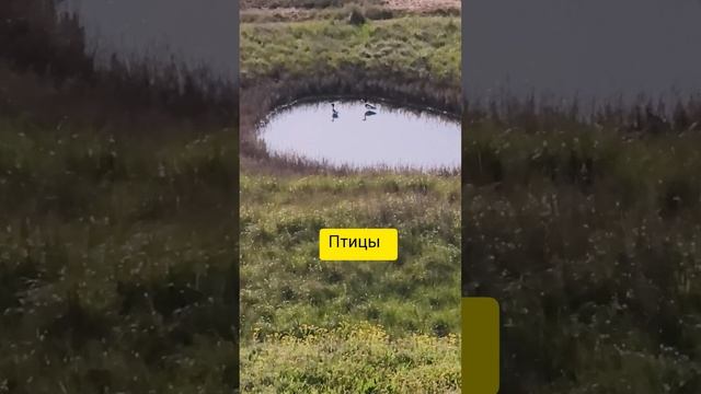 Крым-красивый край.mp4