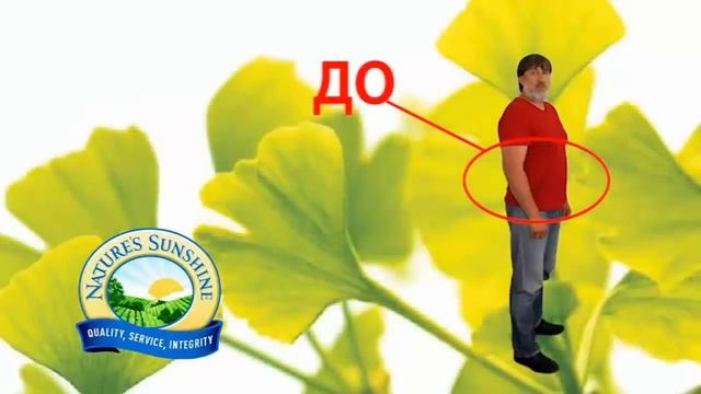 Программа Коррекции Веса НСП