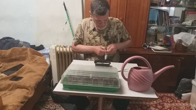 Мой сад.