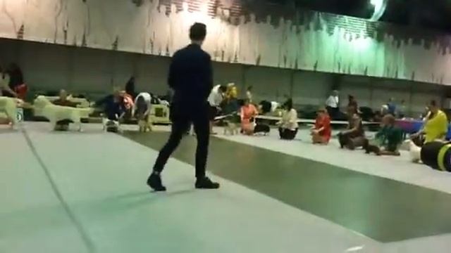 Пряник