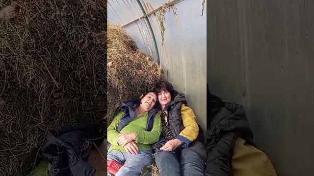 25-04-2025 юморной песня