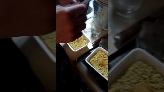 Как готовить Доширак ,что бы не отравится