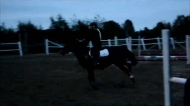 Hoppträning med Napoleon