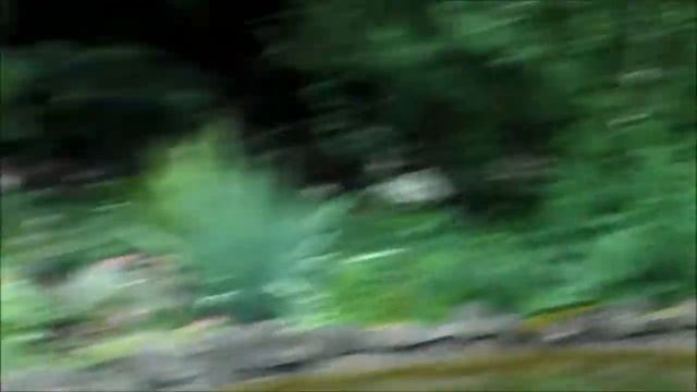 Японский Сад в Ботаническом Саду Кракова. Ogród Japoński w Ogrodzie Botanicznym w Krakowie.