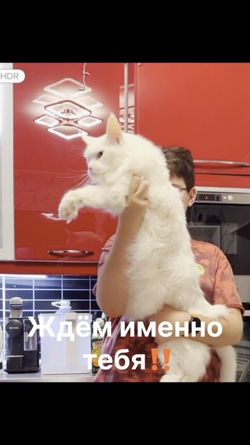 Успей купить. АКЦИЯ до 30.04 -10% на все модели и 3dпечать!Жми прямо сейчас #котики #эмоции #халява