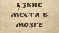 Натан Хелм-Бургер | Узкие места в мозге