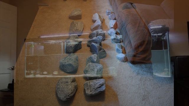 125 Gallon African Cichlid Aquarium Rescape