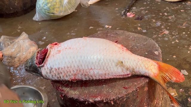 Incredible Live Carp Fish Cutting & Chopping In Fish Market Bangladesh