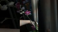 11 ноября 2021 г.