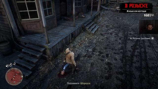 Red Dead Redemption 2 №18 Новый Юг