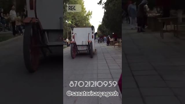 Незабываемый день в Сарыагаше