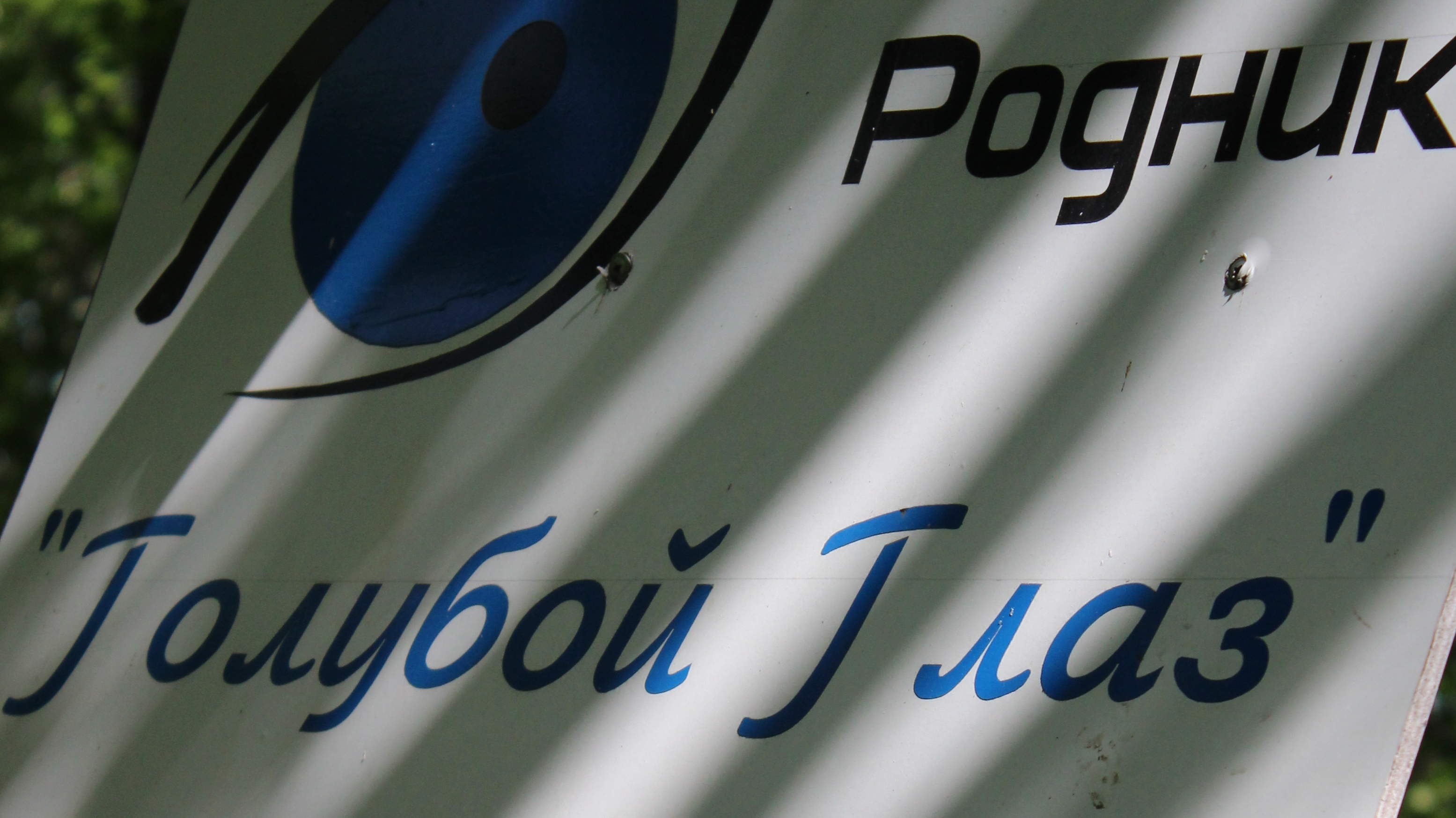 Голубой глаз