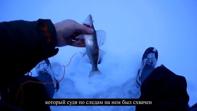 ЗА СУДАКОМ ЧАСТЬ 3
