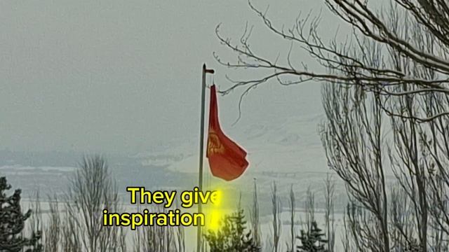 Тимур Расулов, 3 возрастная категория