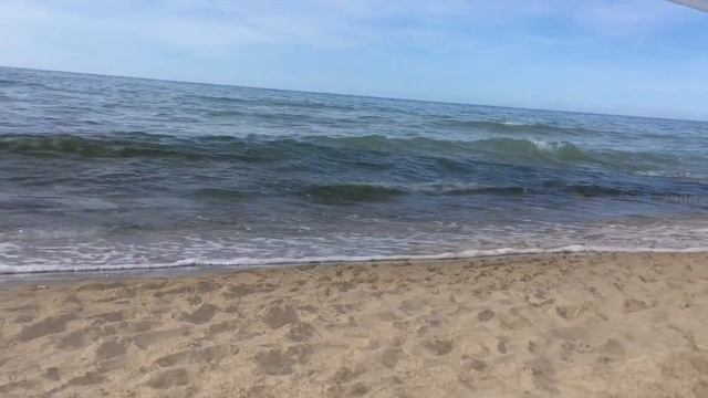 Едем в Светлогорск. Люпины. Морюшко. Дорога домой