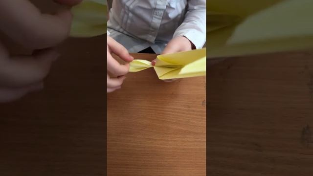 Попугай/1 способ/