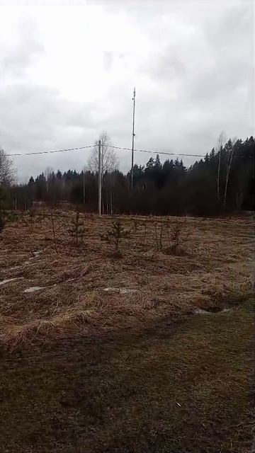 д. Желомеено 50-1-80050407-1224