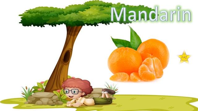 Fruit Game From A to Z 👍 Some fruits i didn't know that it really exists !!