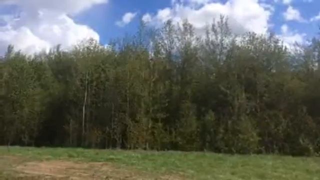 Мой дядя
