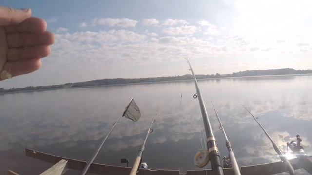 Сентябрьский фидер. Досадный сход в конце рыбалки 🐟.