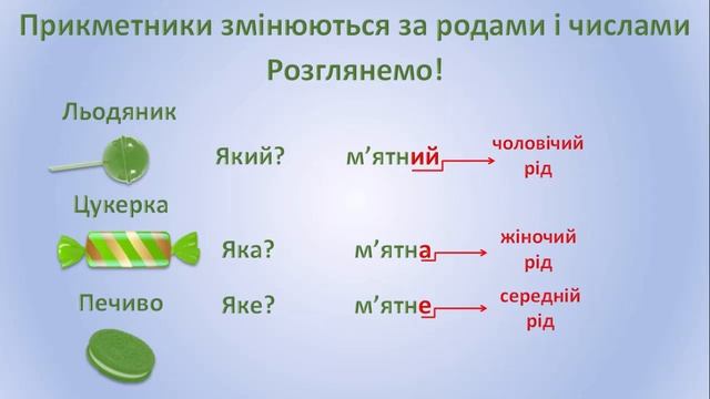 Рід і число прикметників