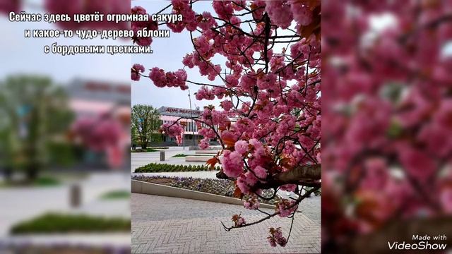 "Вместе навсегда" обед в "Папаша Беппе" и концерт Театра Эстрады 24/04/2025